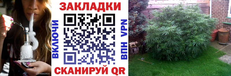 Что такое Ленинградская Конопля  Alpha PVP  ГАШ  LSD-25  COCAIN  Меф  АМФЕТАМИН 