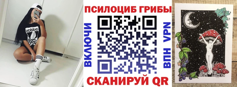 Галлюциногенные грибы ЛСД  продажа наркотиков  Ленинградская 